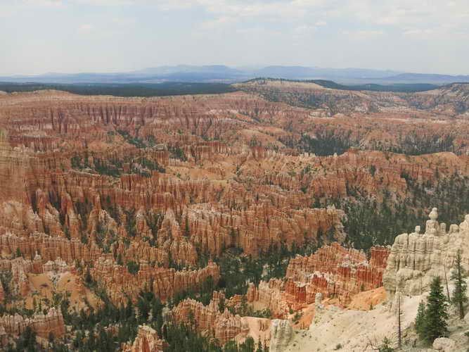 USA_2013-07-10 13-59-46_IMG_1534